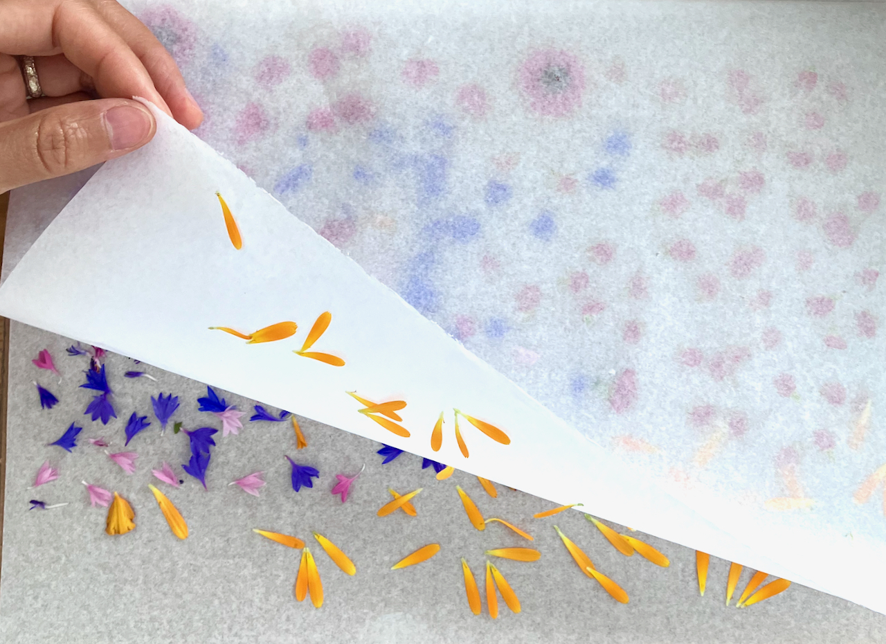 Fleurs naturelles pressées et séchées selon un procédé artisanal.