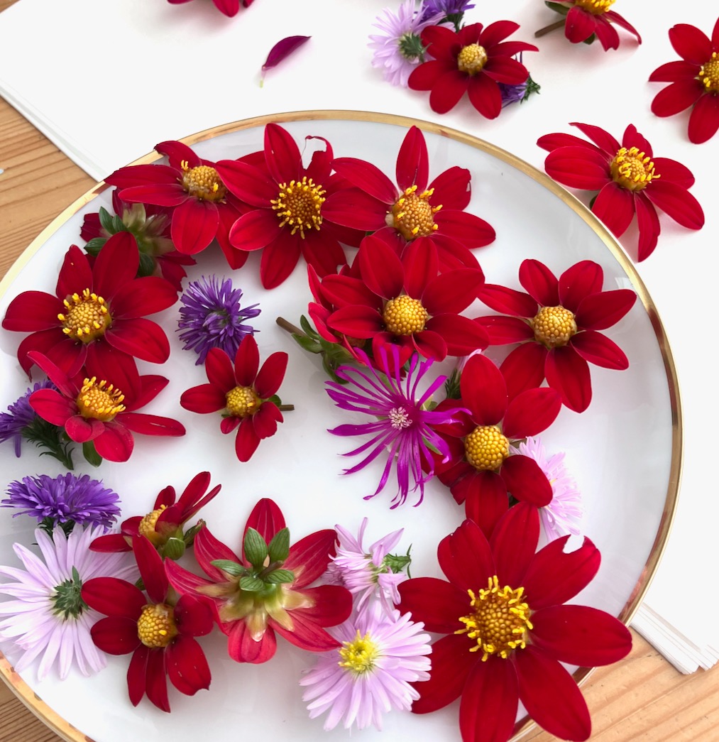 Œuvre botanique unique ou en série très limitée.