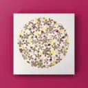 Herbier encadré fait main - fleurs pressées naturelles - Modèle Sphère - Herbier 1007