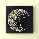 L'Herbier des Nuits d'Argent