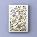 Herbier 1005 - Roman Poésie Éternité 