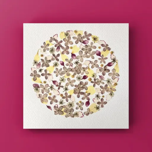 [Herbier 1007] Herbier encadré fait main - fleurs pressées naturelles - Modèle Sphère - Herbier 1007