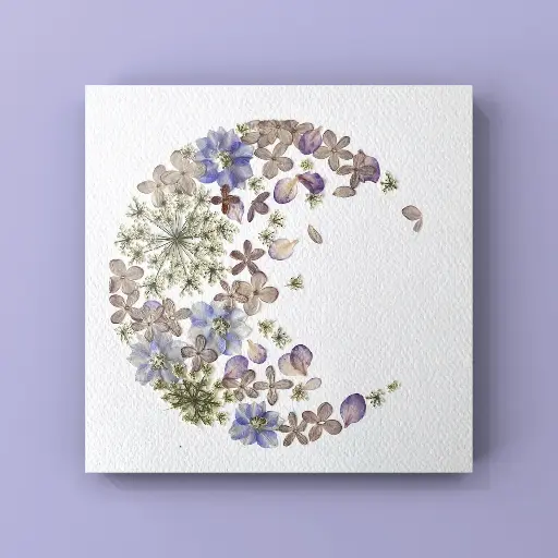 [Herbier 1001] Herbier encadré fait main - Fleurs pressées naturelles - Modèle Luna - Herbier 1001