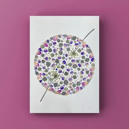 [Herbier 1013] Herbier encadré fait main - fleurs pressées naturelles - Modèle Sphère Florale - Herbier 1013- A3