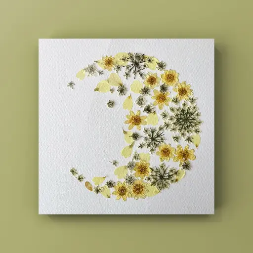 [Herbier 1003] Herbier encadré fait main - fleurs pressées naturelles - Modèle Luna - Herbier 1003