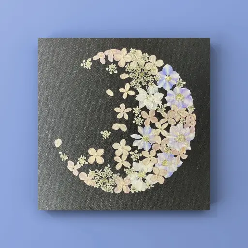 [Herbier 1004] Herbier encadré fait main - fleurs pressées naturelles - Modèle Luna - Herbier 1004