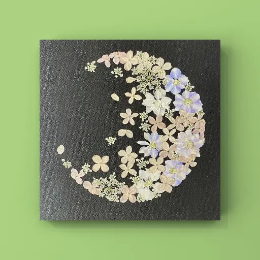 [Herbier 1004] Luna floralis bleu des flots calmes
