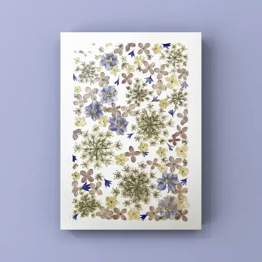 [Herbier 1005] Roman Poésie Éternité 